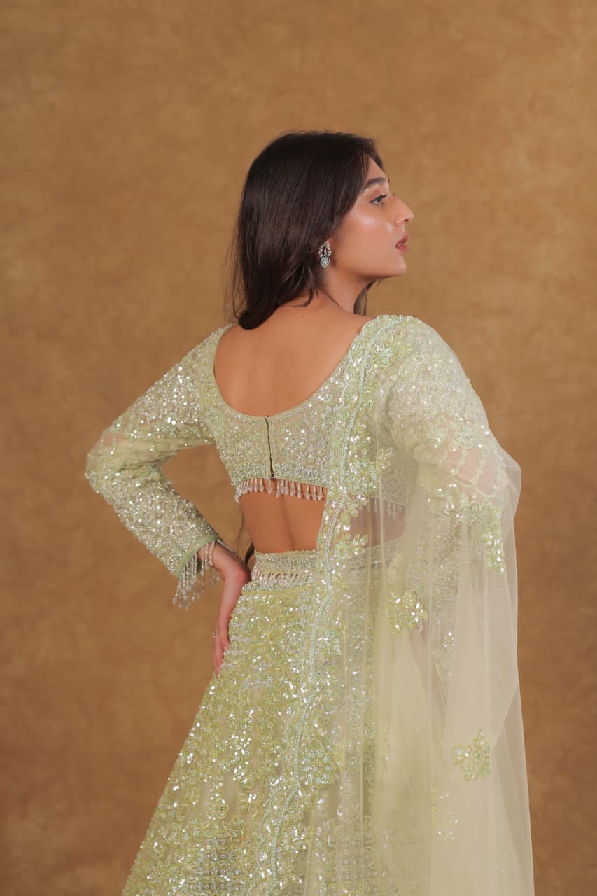 Lyric Green Mono Netted Chaniya Choli with Long Sleeves