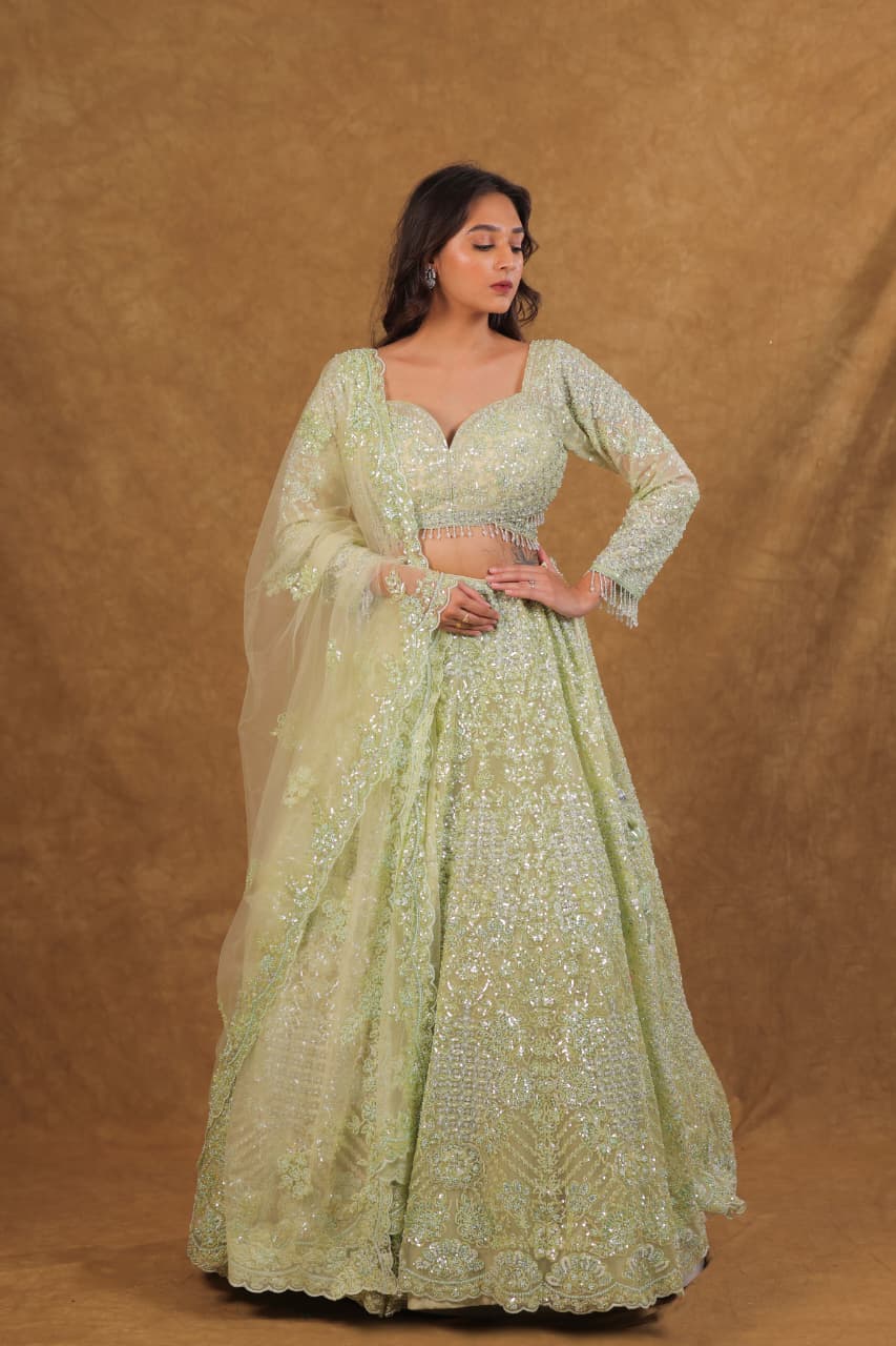 Lyric Green Mono Netted Chaniya Choli with Long Sleeves
