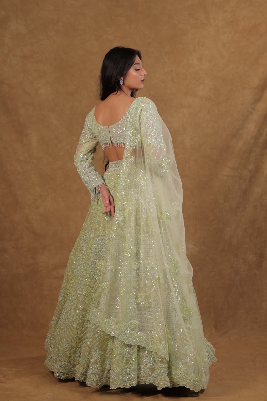 Lyric Green Mono Netted Chaniya Choli with Long Sleeves