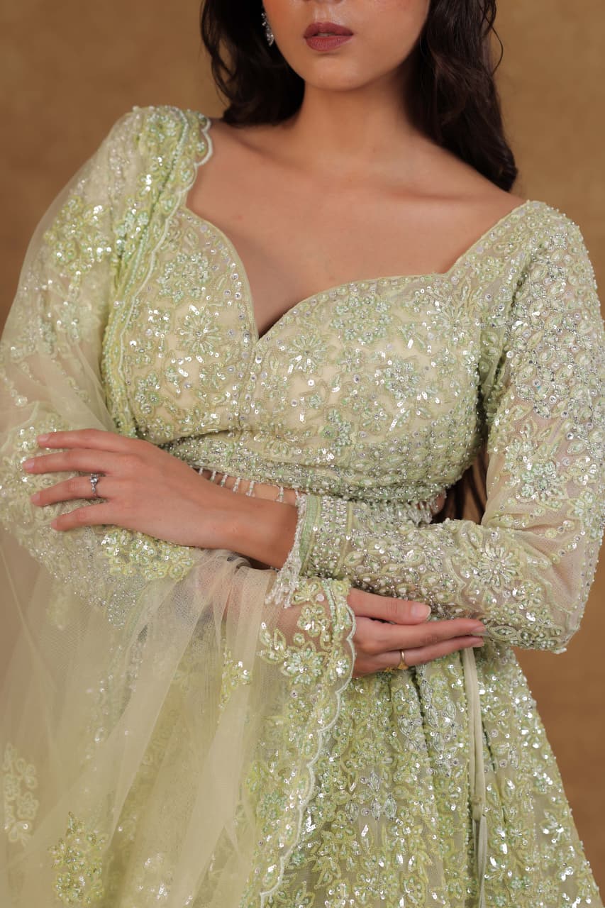 Lyric Green Mono Netted Chaniya Choli with Long Sleeves