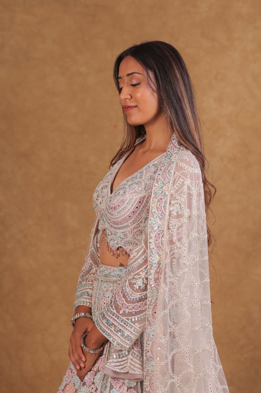 Multi-Color Long Sleeve Choli Suit